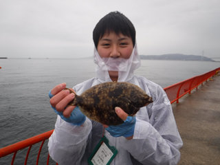 ���ͻ�Ωʿ�볤�Ť����