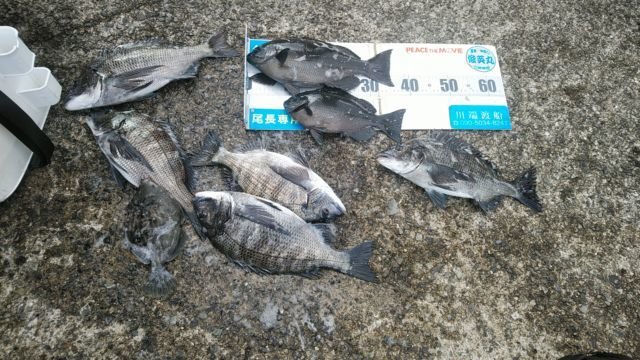 ��ü����