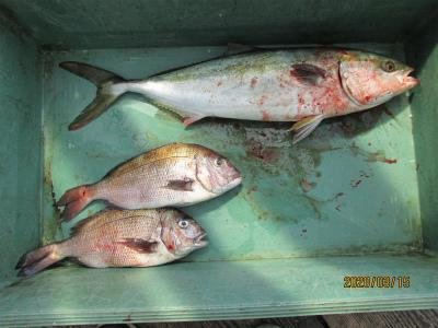 �İ�Ѹ��ե��å���