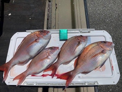 餵
