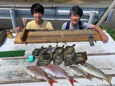 餵
