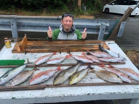 餵