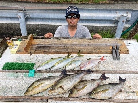餵