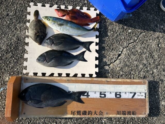 ��ü����