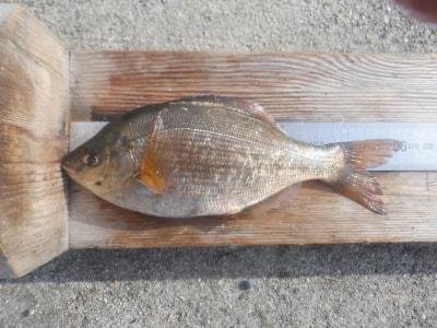 ���ͻ�Ωʿ�볤�Ť����