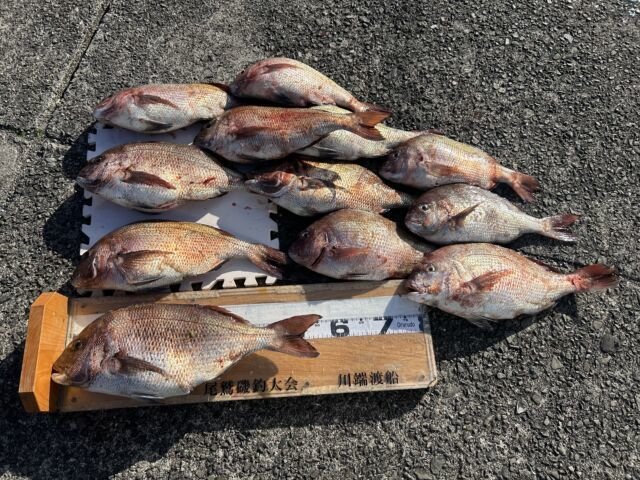 ��ü����