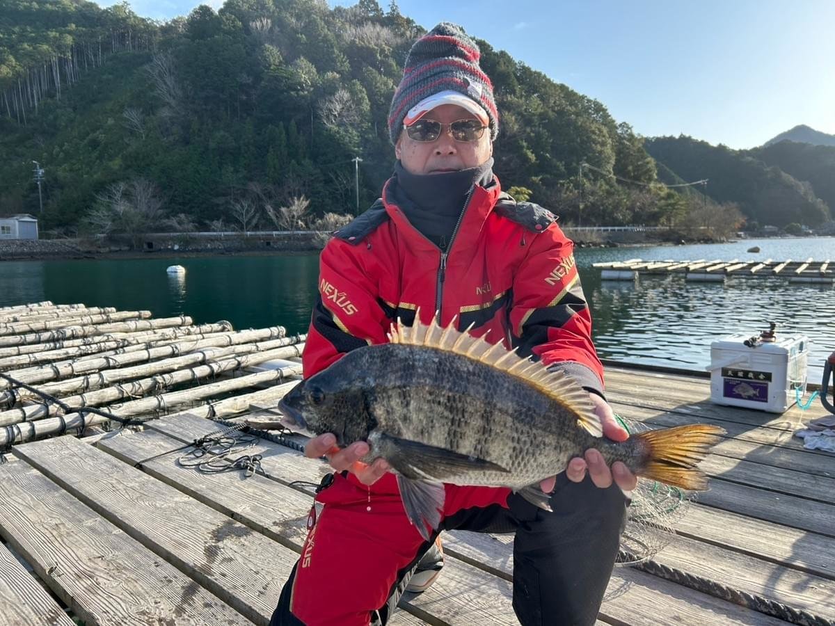 ���å�����