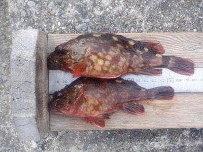 ���ͻ�Ωʿ�볤�Ť����