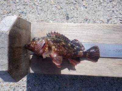 ���ͻ�Ωʿ�볤�Ť����