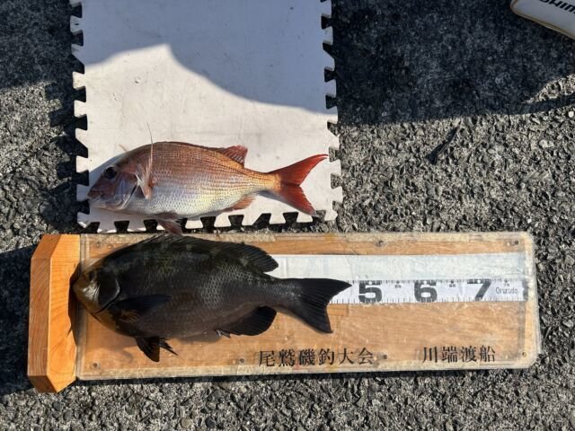 ��ü����