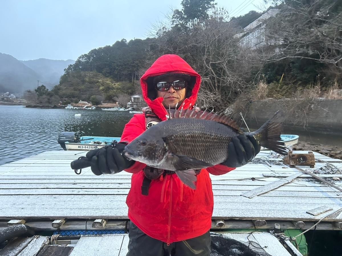 ���å�����