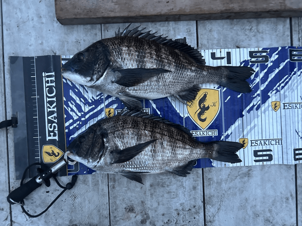 ���å�����