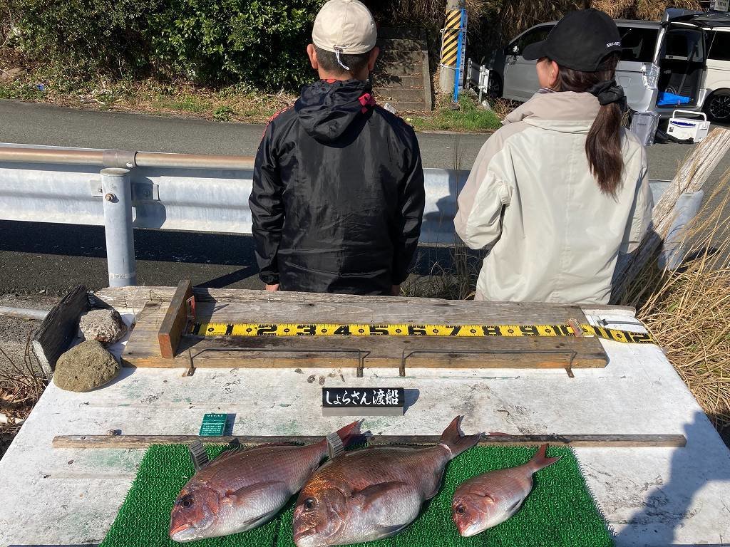 ����餵������