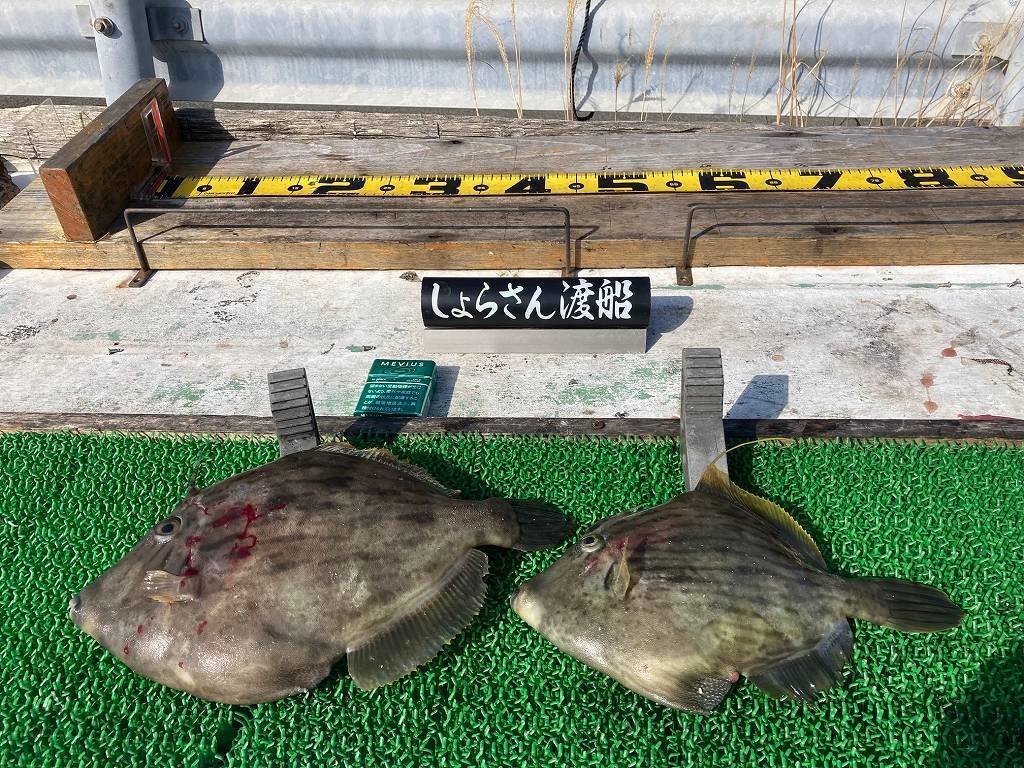 ����餵������