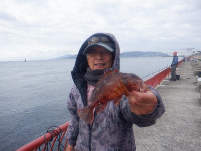 ���ͻ�Ωʿ�볤�Ť����