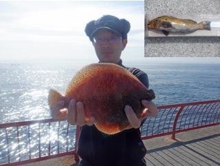 ���ͻ�Ωʿ�볤�Ť����