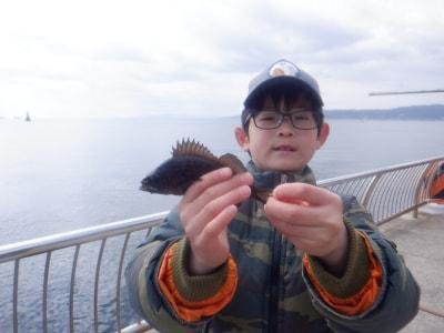 ���ͻ�Ωʿ�볤�Ť����