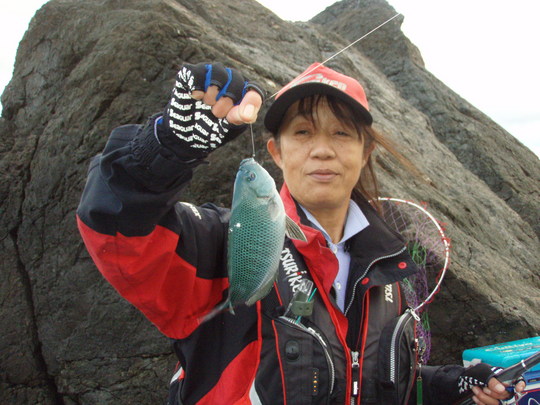 ¥«¥ß¥µ¥ó¤Î¥°¥ì