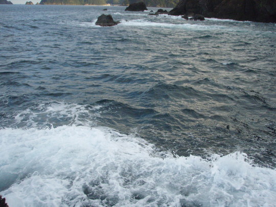 ÁêÊѤï¤é¤ºÇȤâ¹â¤¯¤Æ¡¦¡¦¡¦