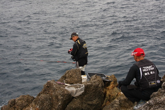 同じチームの仲間が応援します。