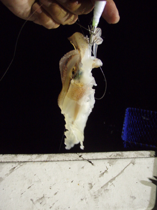 こういうときは共食い事件も多いのです