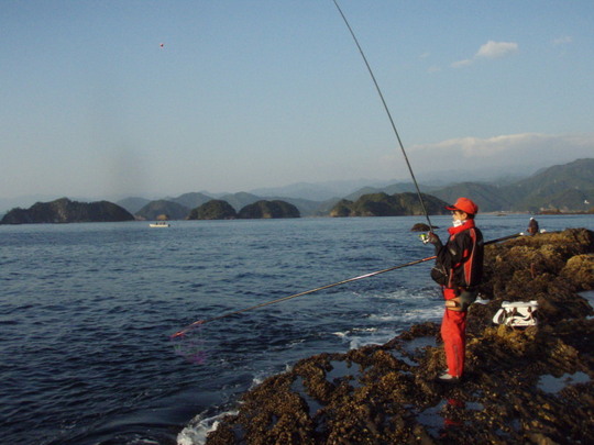 ¥«¥ß¥µ¥ó¤â¤Á¤Ã¤µ¤¤¥°¥ì¤Ï¿ô½½É¤¡£