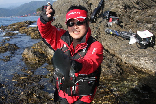 ¤³¤Î¥µ¥¤¥º¤ÏÉáÄ̤ËÄà¤ì¤Þ¤¹¡£¤·¤«¤·¤¤¤¤¤Î¤¬½Ð¤ë¤Ï¤º¡£¡£