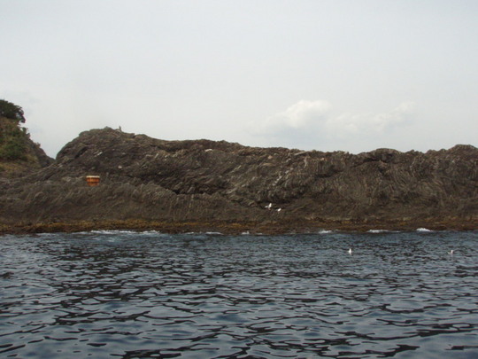 ¤³¤ì¤¬Â票¥¹¥¡£ËôÍè¤Þ¤·¤ç¤¦¡£