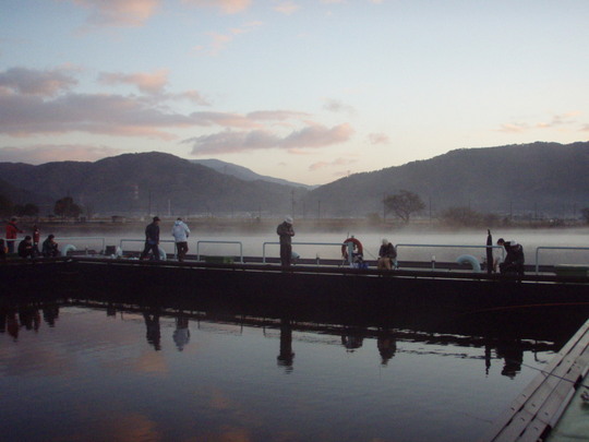 あさ水面から靄が上がってます。