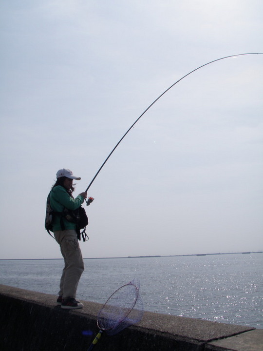 今や武庫川の主。久美江さんと言います。よろしく。
