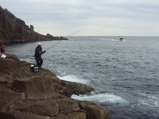 ¥µ¥é¥·¥Î¸þ¤³¤¦¤Ï¤¤¤¤Î®¤ì¤Ç¤·¤¿