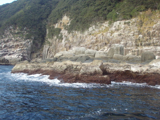 ¤³¤Î°ë¤«¤é50¥»¥ó¥ÁÂæ¤¬Ëèǯ½Ð¤Þ¤¹