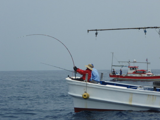 となりの船でもヒラマサ