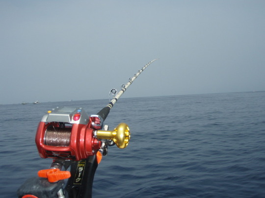 こんなタックルがおすすめです