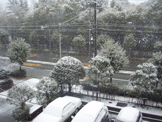 今年は雪が多いですね。