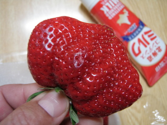 仕上げのデザートは博多の「あまおう」。大きさと甘さが。。上品さは気にしないです。