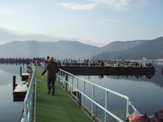 通路側からみると・・足元は霜が降りていました