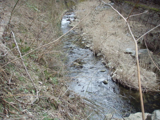 小さな川です