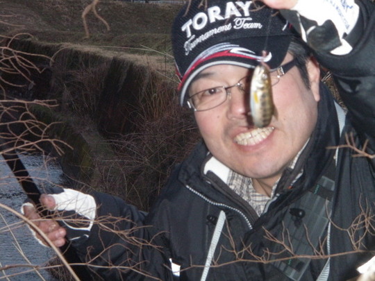 こんなかわいいのも居ましたよ