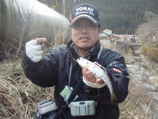 この辺がアベレージサイズ