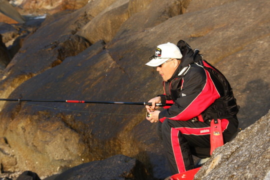 Å컳¤µ¤ó¤Ç¤¹¡£¤«¤Ê¤ê¤Î¥Ä¥ï¥â¥Î¤Ç¤¹¤¾