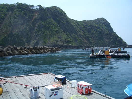 発電所の温排水はよく釣れるようですね