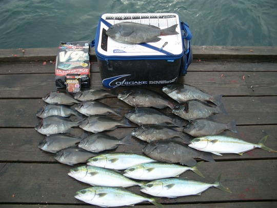 たくさん釣れましたね