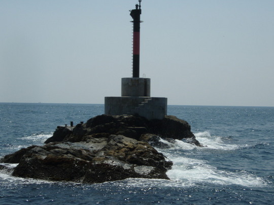 向かいは名勝!アシカの親。今は下り潮。