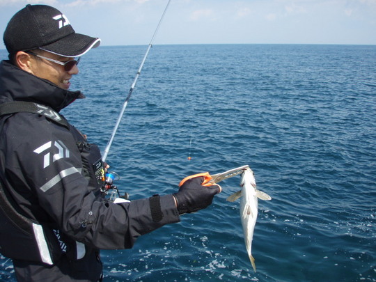 胴周りで彼が釣ったのはなんでしょうか?わかる人!鋏がないと持てません。