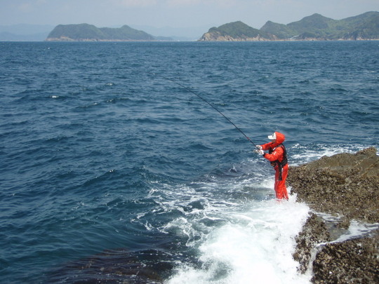 荒磯で豪快に竿を絞る桃紅のマダイかな