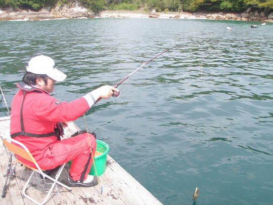 チョン、クッ!で合わせます。