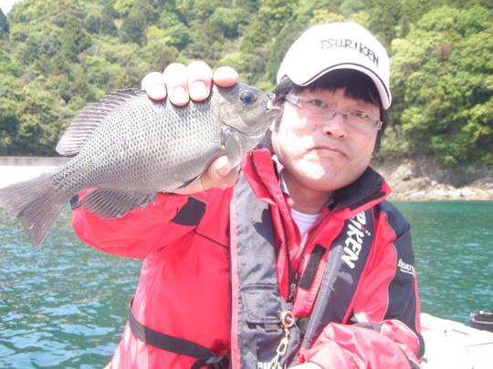 時折、かわいいですが、グレが掛かってきます。