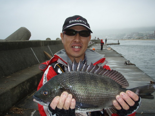 ²ÃÆ£¤µ¤ó¤Ï2ɤÌܤò¥²¥Ã¥È¡Á¡Á¤ª¸«»ö¡ª