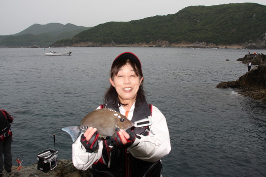 カミサン得意のサンノ字です。この魚たくさんおりますね。